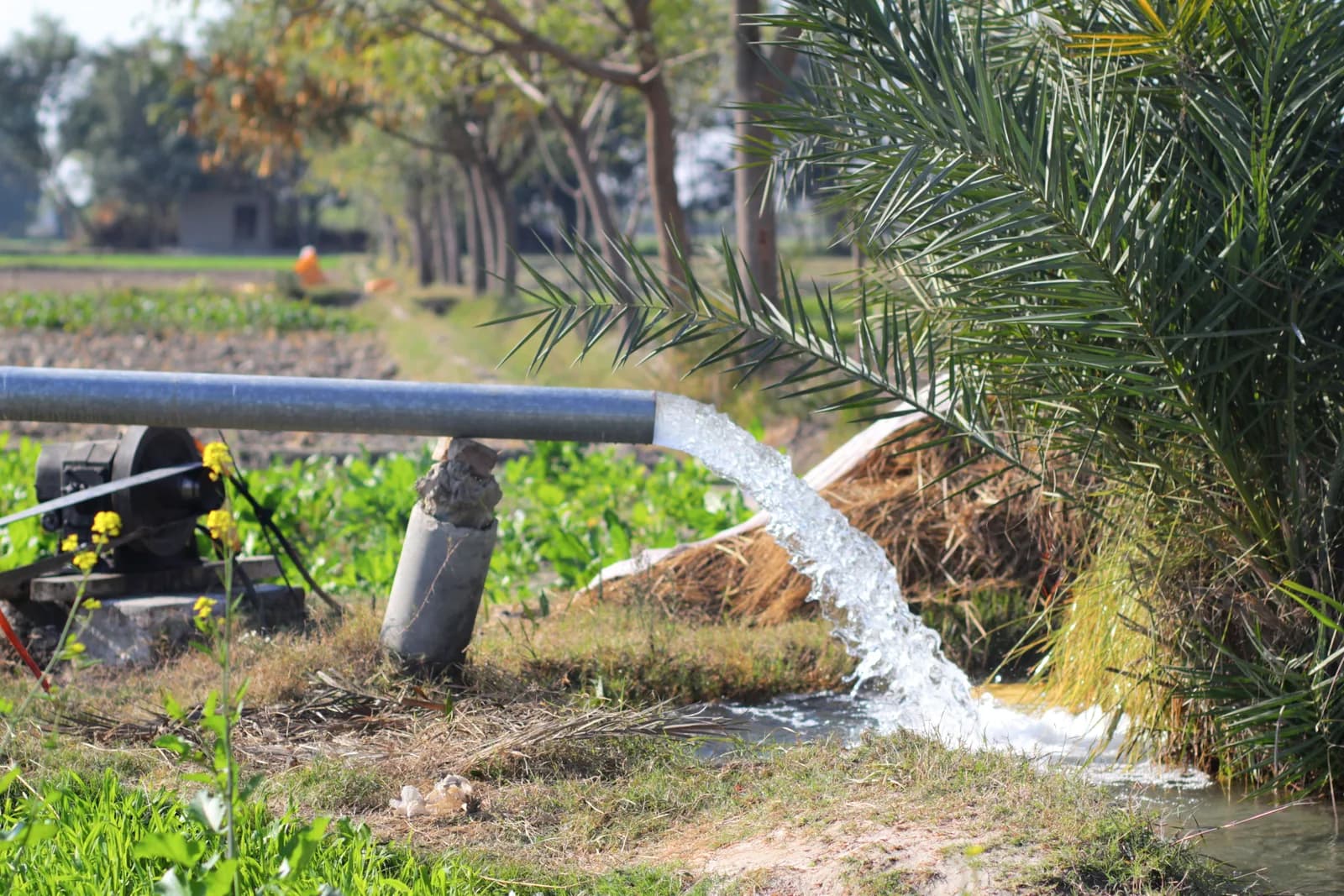 Clear water gushing from a borehole outlet pipe into a channel beside a green field