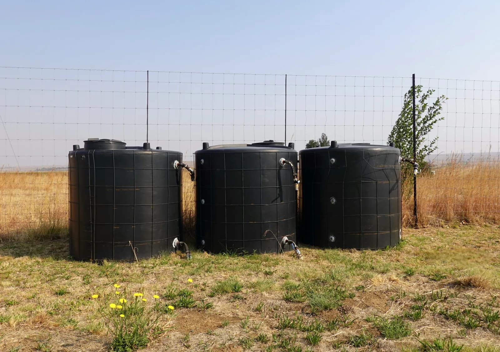 Three large black water storage tanks standing side by side on a level pad in a fenced, grassy yard